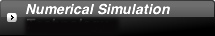 Numerical Simulation Technology